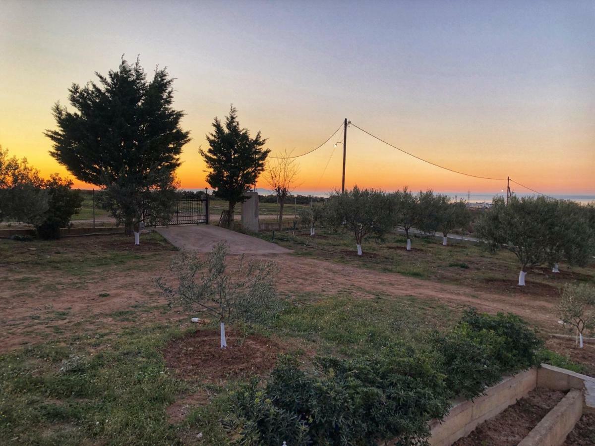 The Hillhouse Near Alexandroupolis Villa Exterior photo